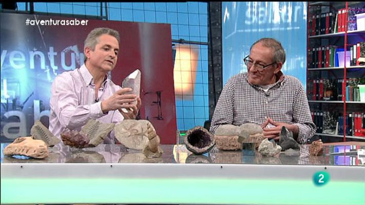 La aventura del Saber - Feria Natura