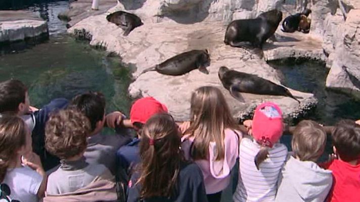 L'informatiu - Comunitat Valenciana - La Comunidad Valenciana en 2' - 09/04/15