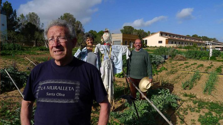 Aquí la Tierra - Los guerreros de La Muralleta