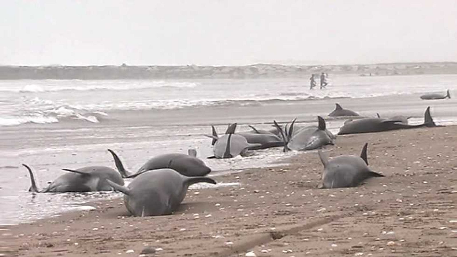 Aquí la Tierra - 10/04/15 - ver ahora