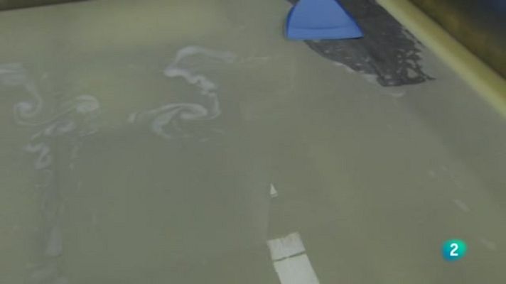 Agrosfera - Aprovechamiento del suero lácteo