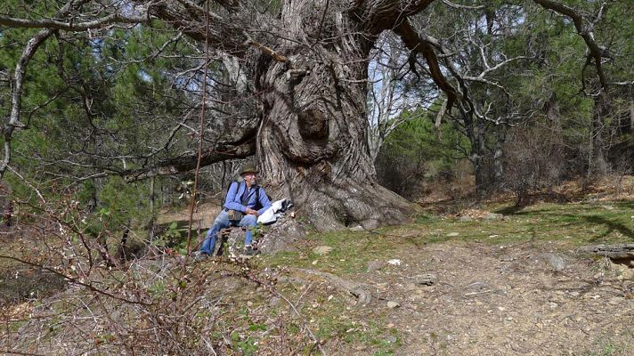 Aquí la Tierra - Lo mejor de Juan Plantas