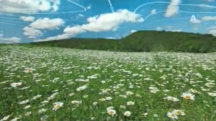 Telenorte - País Vasco - El tiempo en el País Vasco - 14/04/15