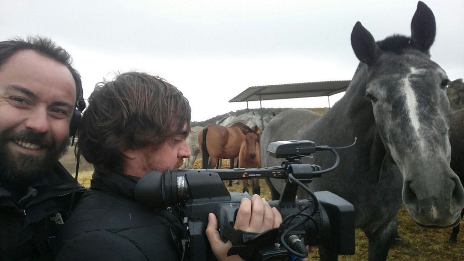 La elegancia de las yeguas españolas