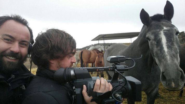 Aquí la Tierra - La elegancia de las yeguas españolas