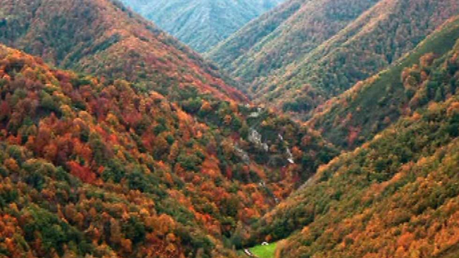 Saber y ganar - 17/04/15 - Ver ahora