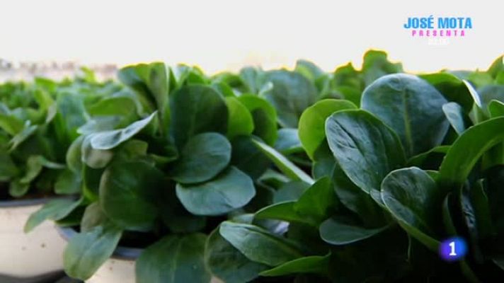 Aquí la Tierra - El paraíso de las hierbas aromáticas