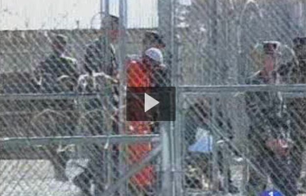  - Liberados en EE.UU.