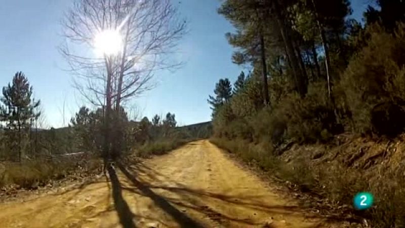 Agrosfera - En clave rural - En tierra de lobos