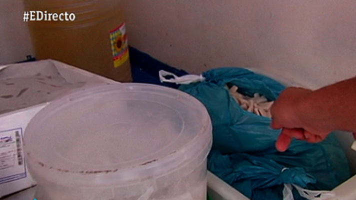 España Directo - El pescaíto, bajo lupa