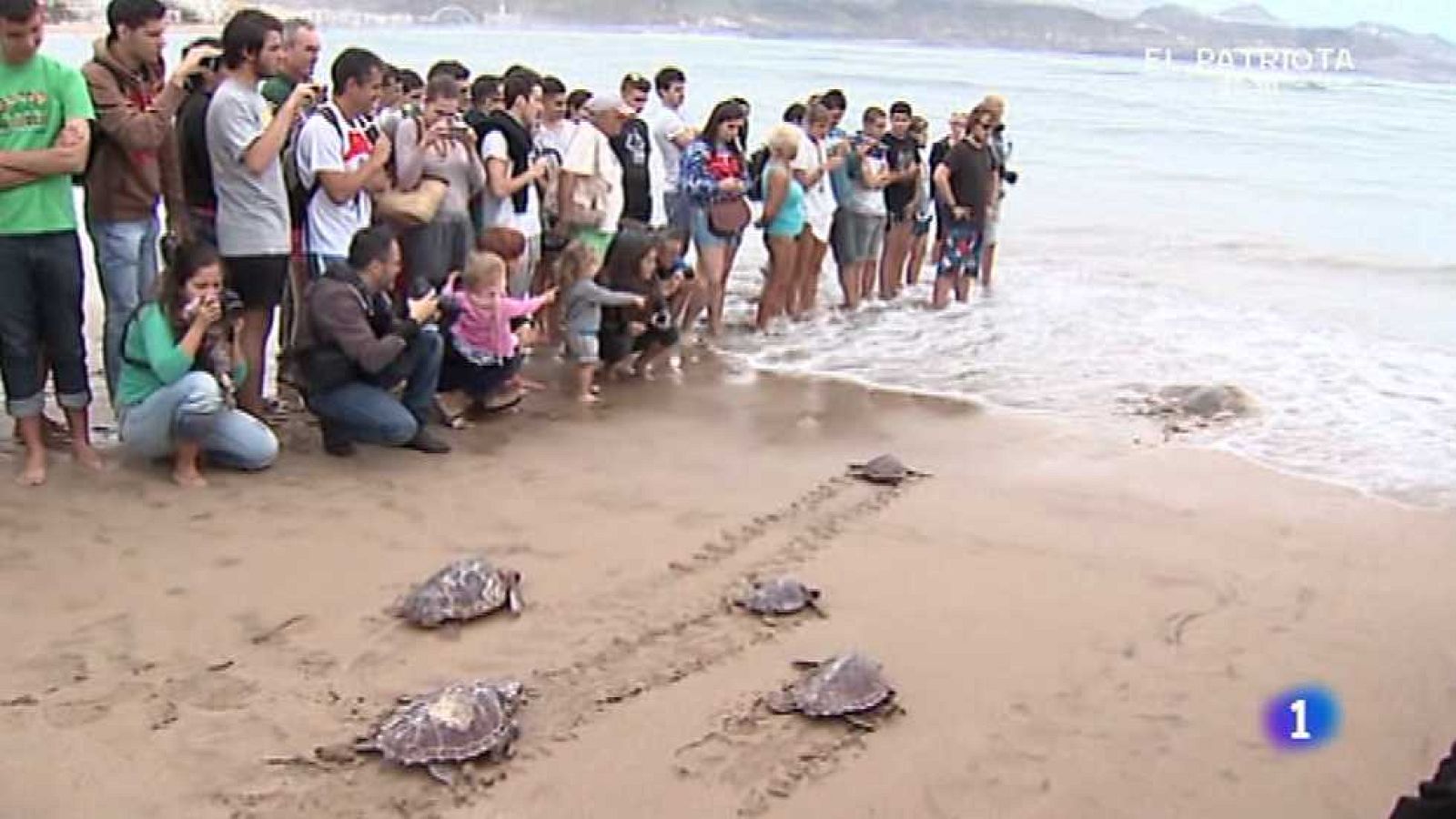 Aquí la Tierra - 20/04/15 - ver ahora