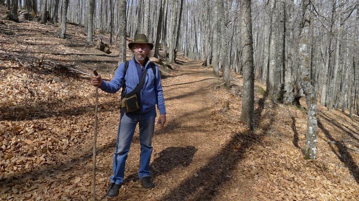 Aquí la Tierra - Juan Plantas y los enemigos de los árboles