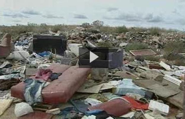  - Bacteria 'come carne'