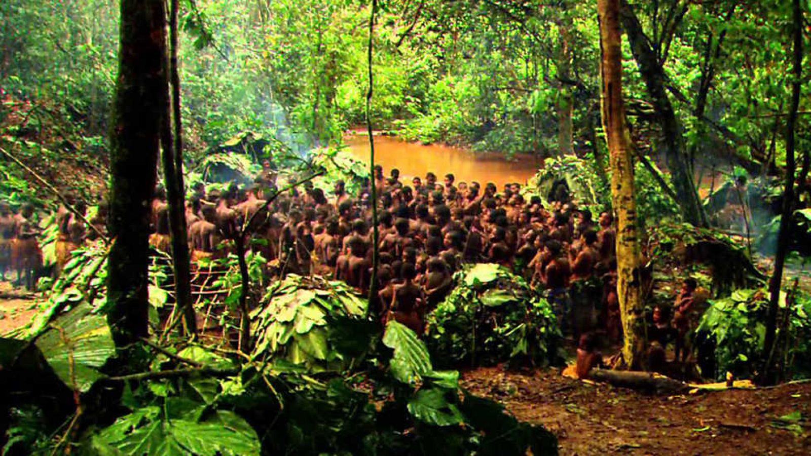 Documenta2 - Pigmeos: La agon��a del dios verde - ver ahora