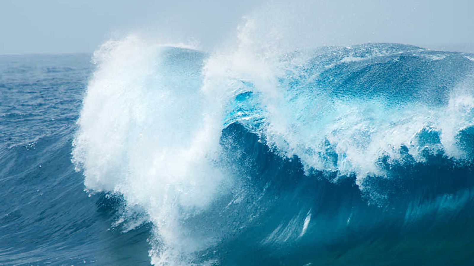 Documenta2 - Iluminar el océano - ver ahora