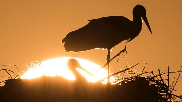 Informativo de Madrid - El Tiempo en la Comunidad de Madrid - 23/04/15