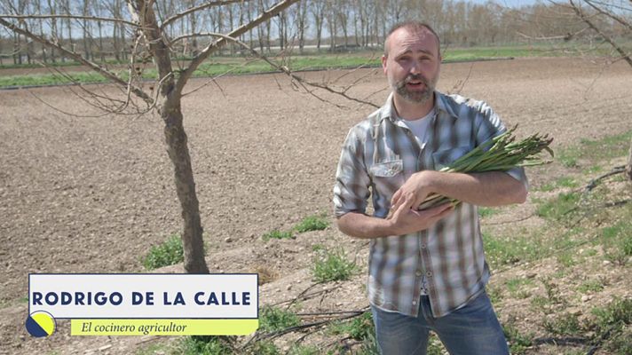 Al punto - La revolución verde