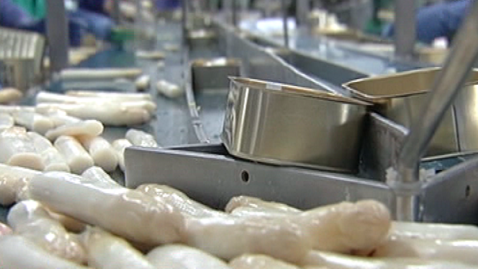 ¿Intentan las marcas confundirnos al comprar espárragos?