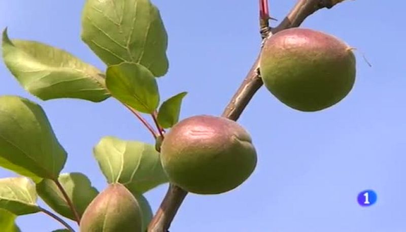 Noticias Aragón - 24/04/15