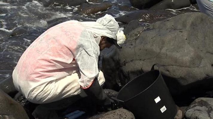 Telecanarias - Canarias en 2' - 24/04/15