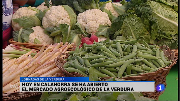 Informativo Telerioja - Telerioja en 2' - 24/04/15