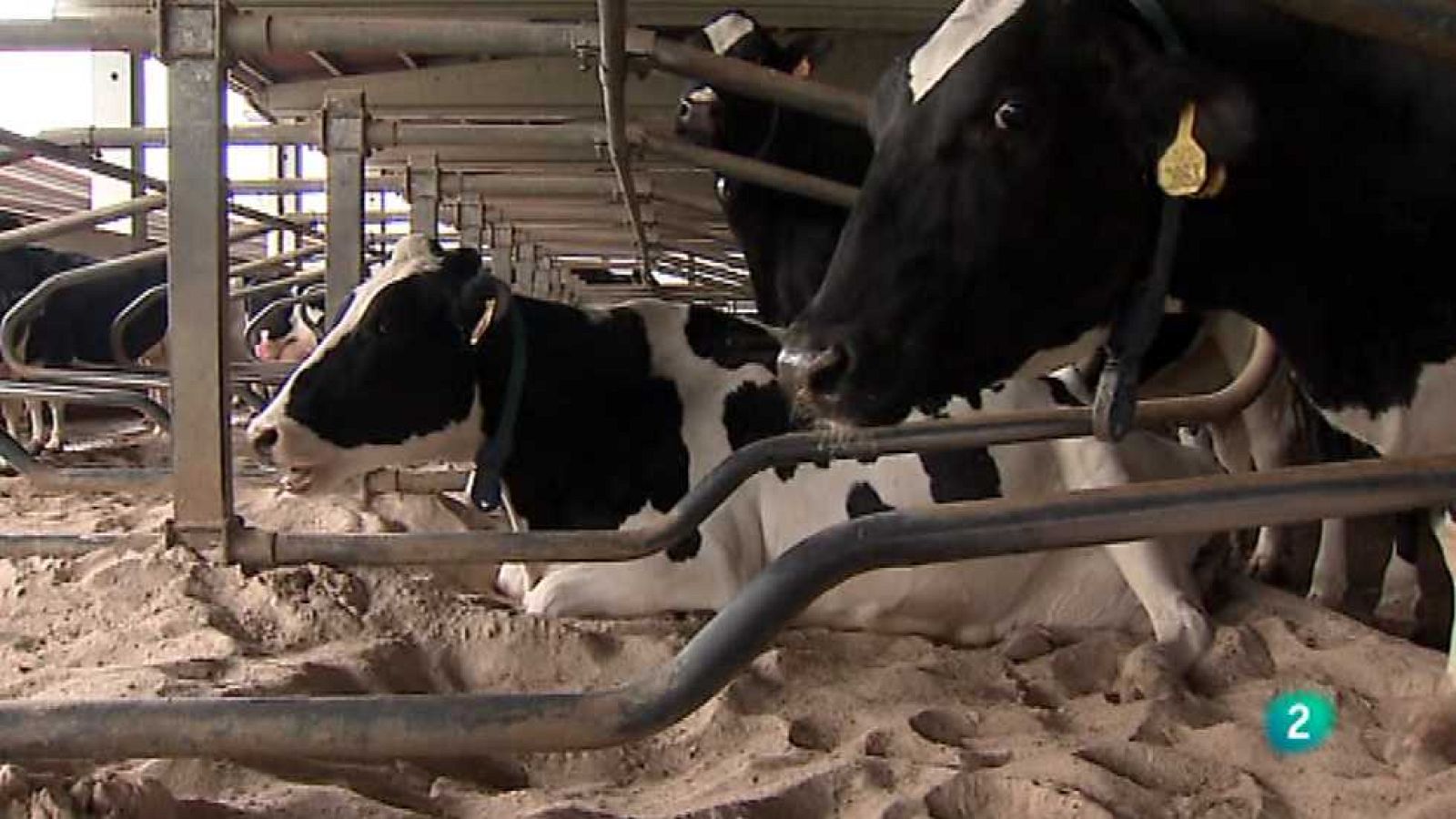 Agrosfera - 25/04/15 - Ver ahora