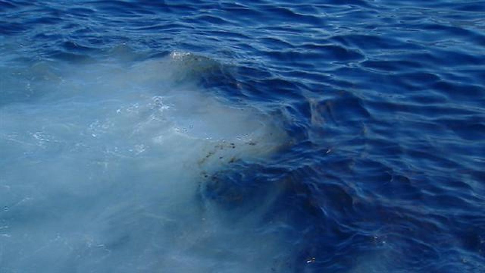 Telecanarias - 26/04/15 | Ver