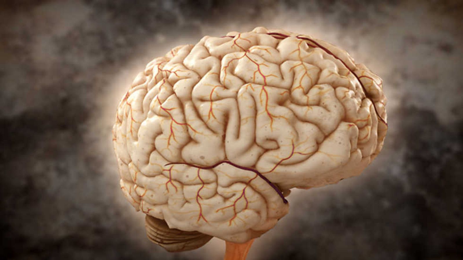 Brain Games - La batalla de la edad - Ver ahora