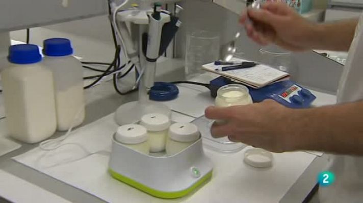 Agrosfera - Investigacion sobre el yogur