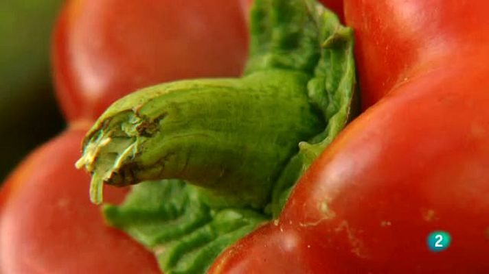 La aventura del Saber - Movimiento Slow Food.