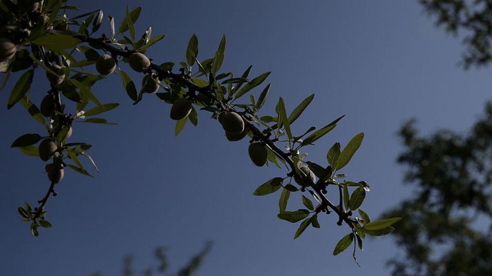 El tiempo - Viento fuerte en el norte y sureste de España