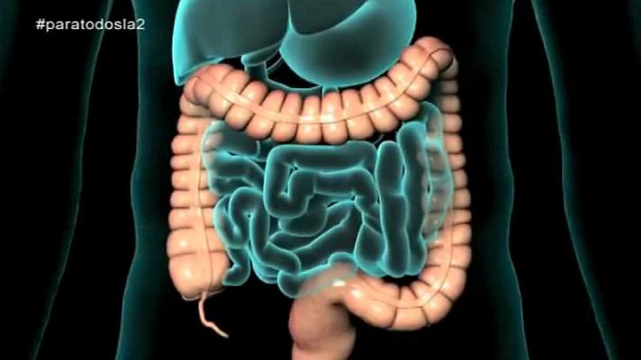 Para todos La 2 - Para todos La 2 - 27/04/15