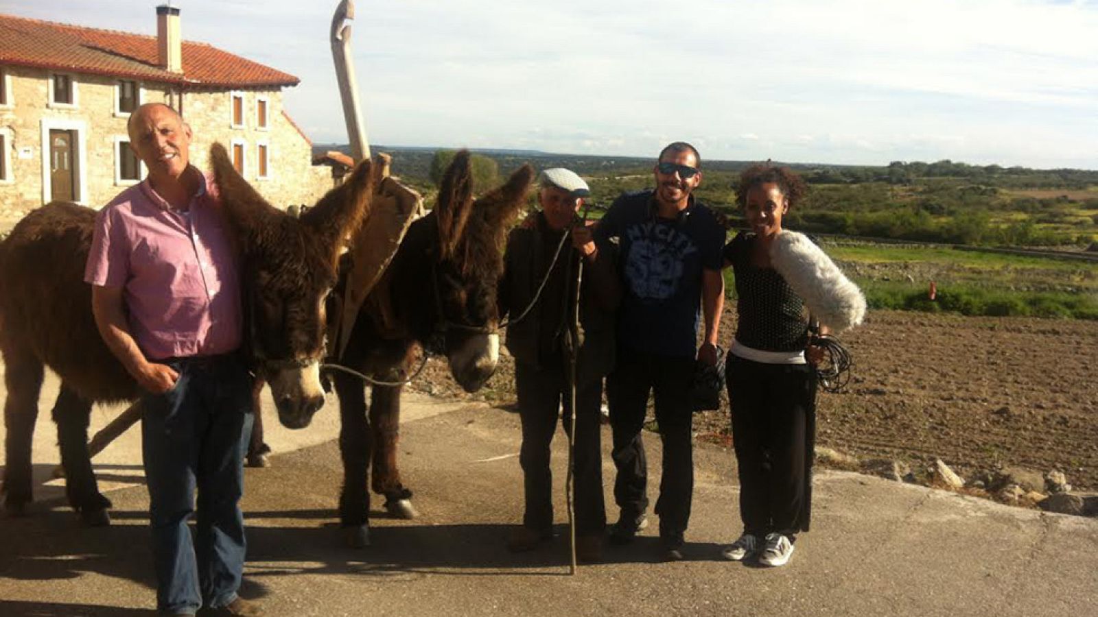 Burros zamoranos peludos y suaves
