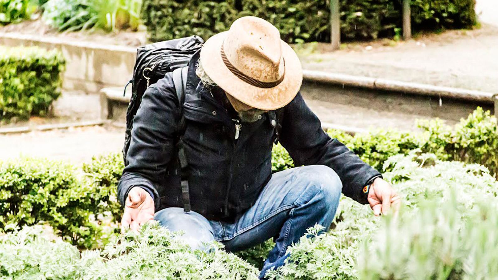 Juan Plantas vuelve a ilustrarnos