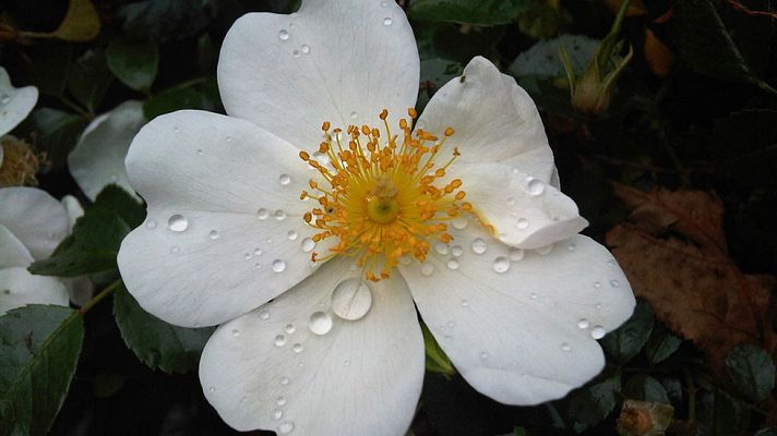 El tiempo - Lluvias en los litorales de Galicia y Asturias