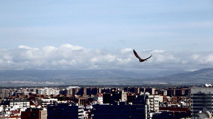 Informativo de Madrid - El Tiempo en la Comunidad de Madrid - 29/04/15