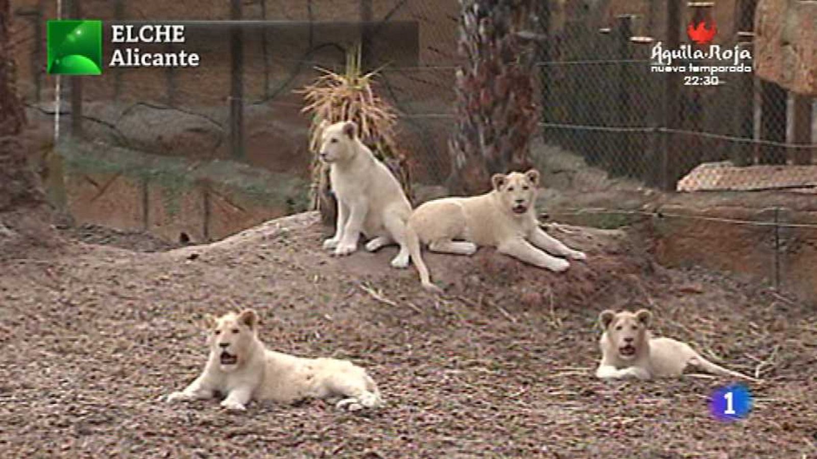 Aquí la Tierra - 29/04/15 - ver ahora