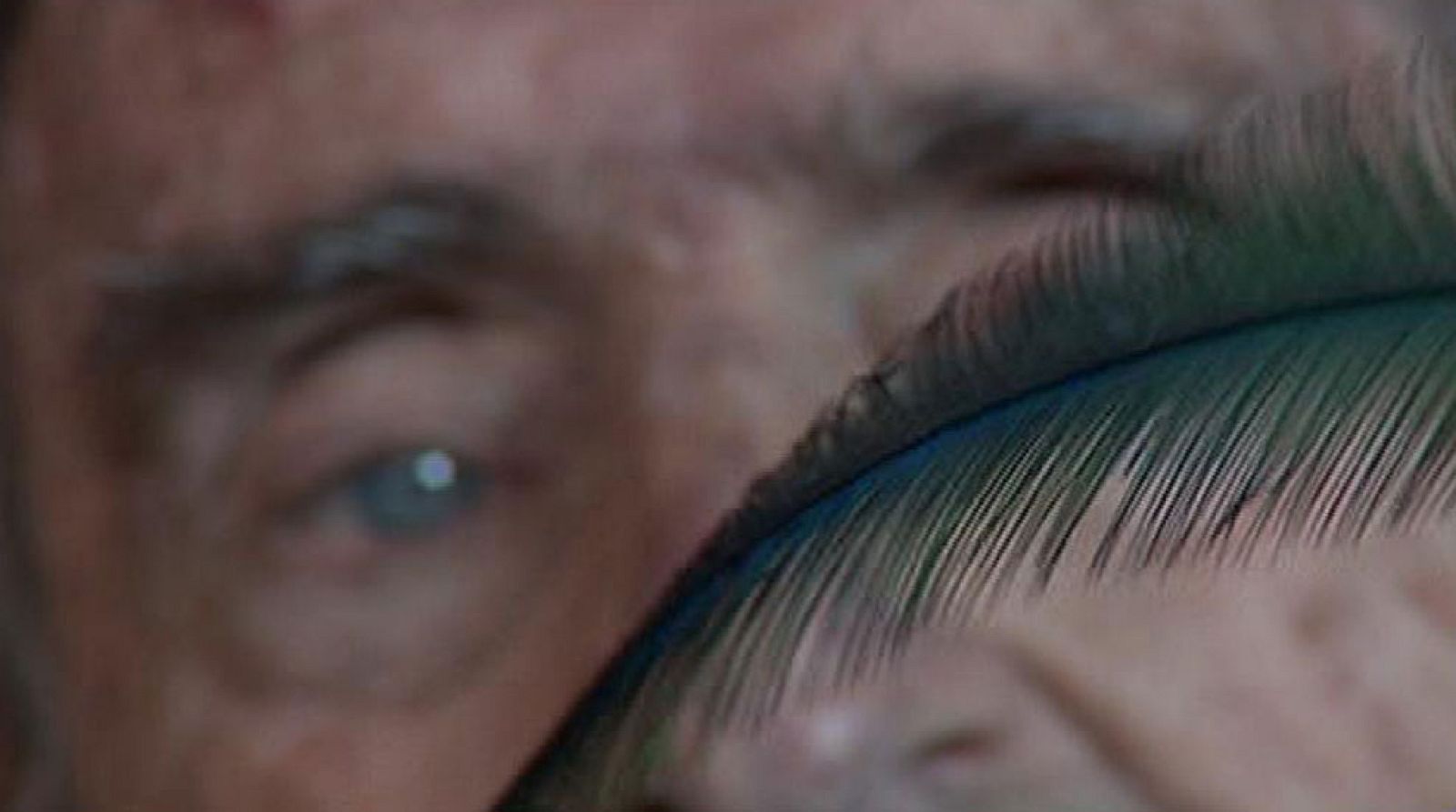 La Ruta Quetzal cumple 30 años