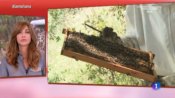 La mañana - 2ª parte - 04/05/15