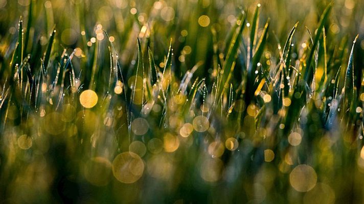 El tiempo - Lluvias en norte de la Península y descenso generalizado temperaturas