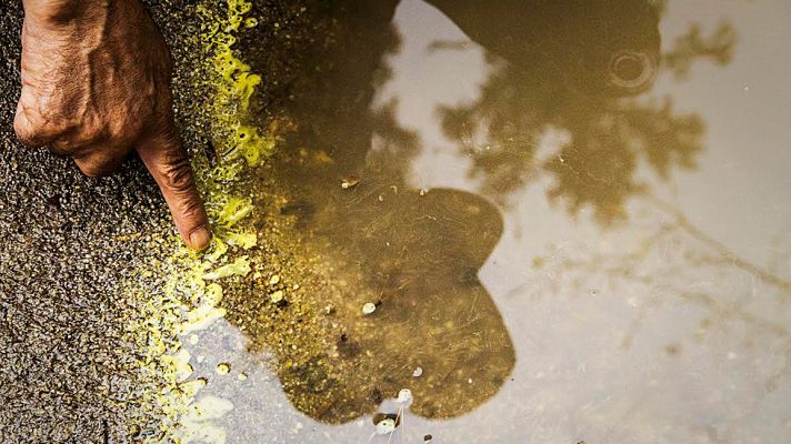 Aquí la Tierra - El increíble Juan de la Jungla