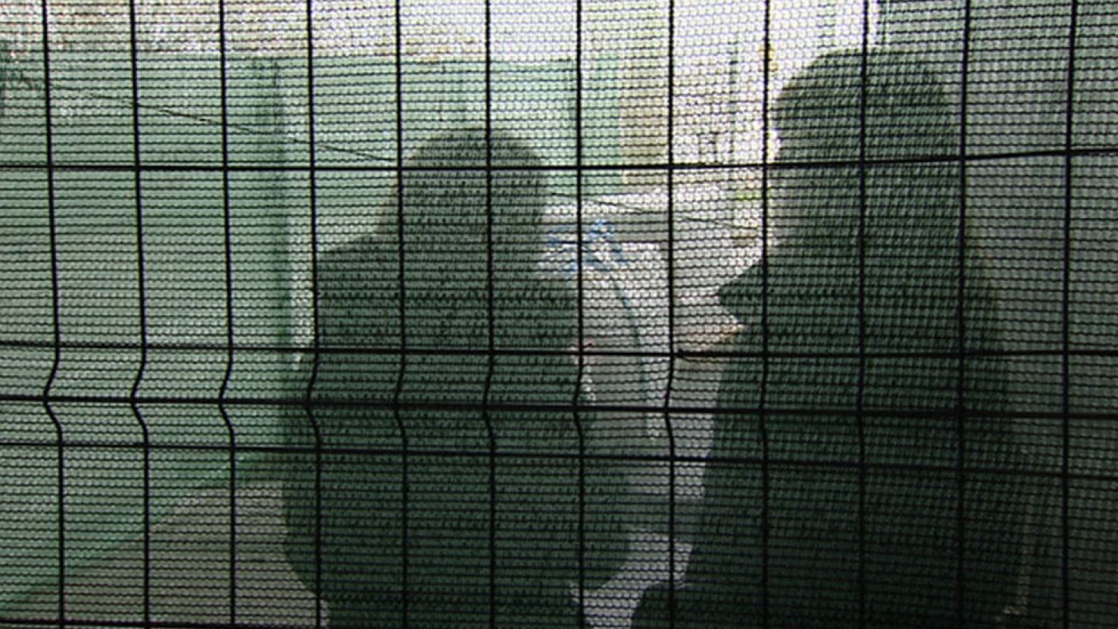 Sube el número de menores que sufren violencia machista