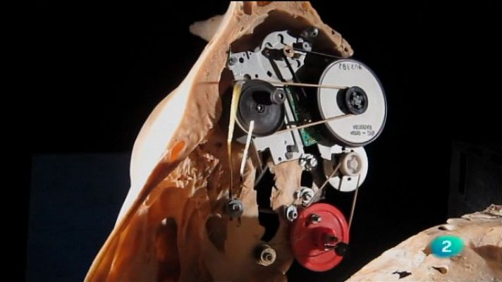 La aventura del Saber - CaboSanRoque (la cobla patafísica)