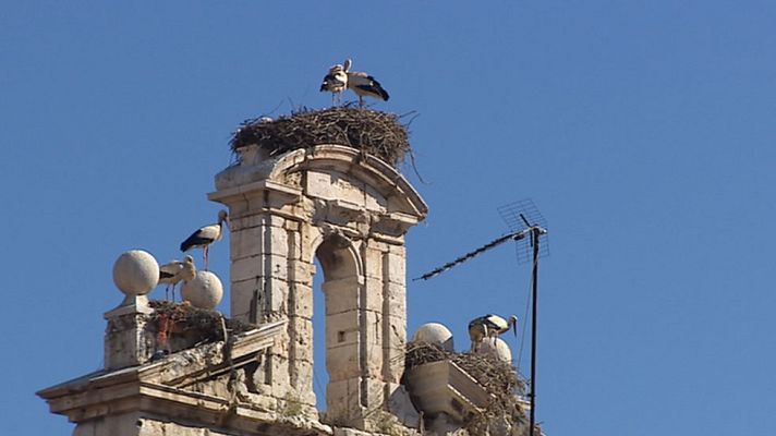 Informativo de Madrid - El Tiempo en la Comunidad de Madrid - 06/05/15