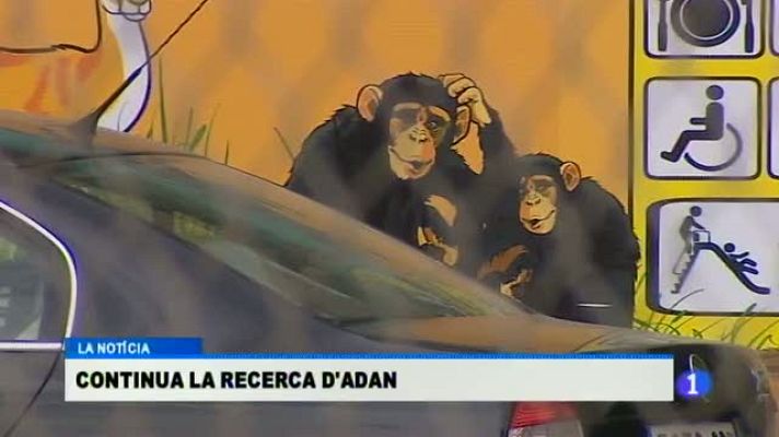 Informatiu Balear - Informatiu Balear 2 - 06/05/15