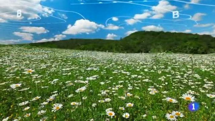 TeleCantabria - El tiempo en Cantabria - 06/05/15