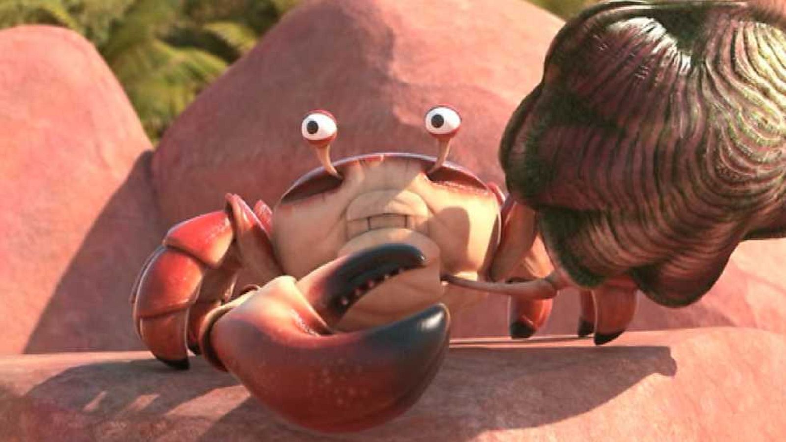 Caparazones y crustáceos - La panda de la selva | Ver