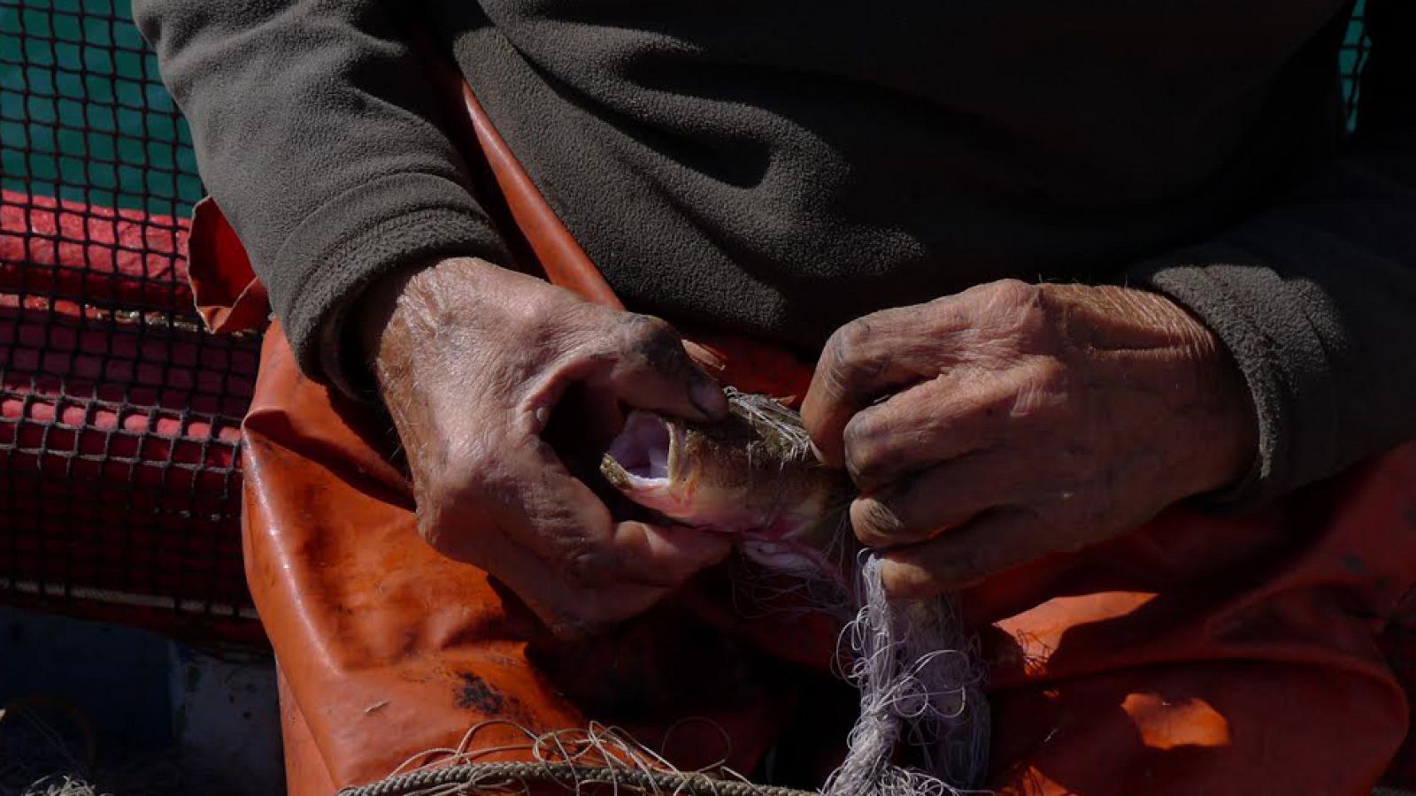 El "trasmallo" o pesca artesana