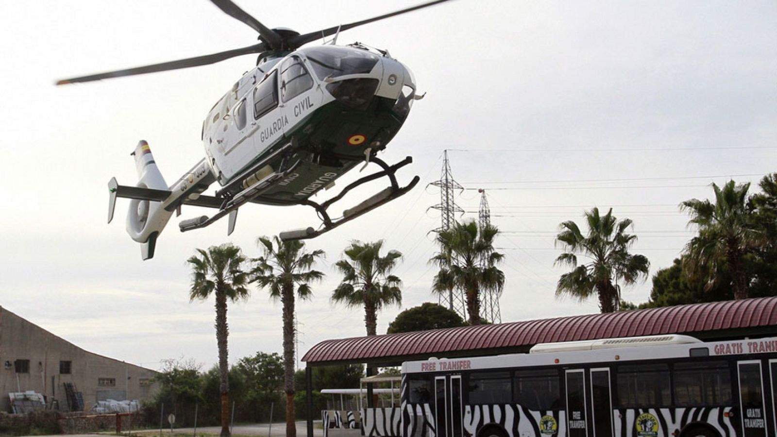 El chimpancé que se fugó de un zoo en Mallorca aparece muerto en una depuradora