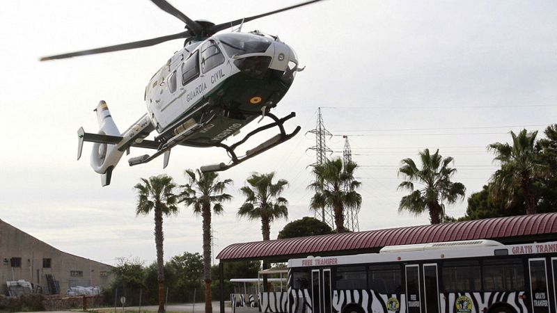 El chimpancé que se fugó de un zoo en Mallorca aparece muerto en una depuradora